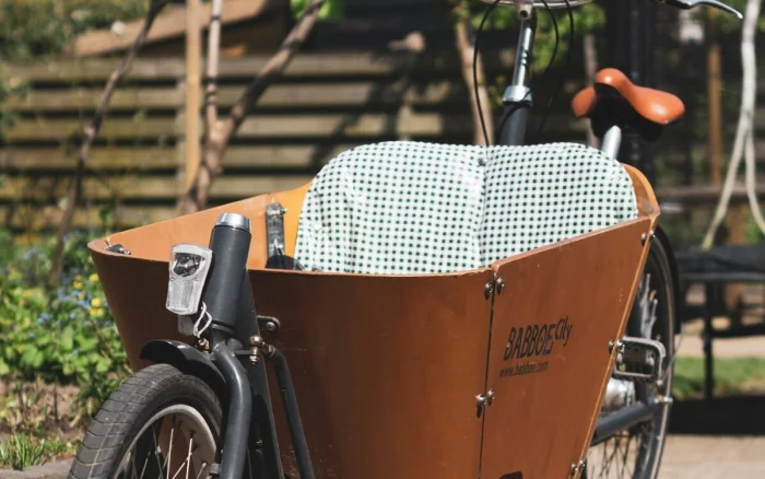 Bild Lastenrad Vorteile