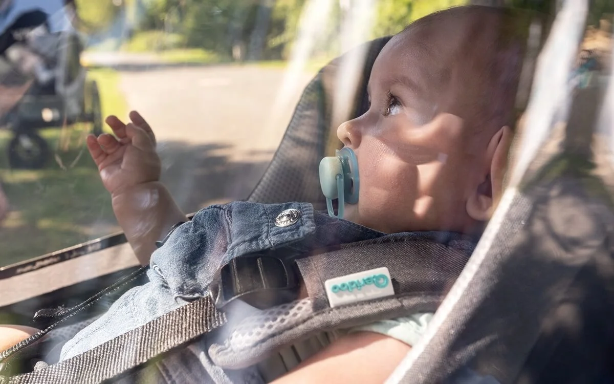 Bild Kind im Qeridoo Kinderanhänger